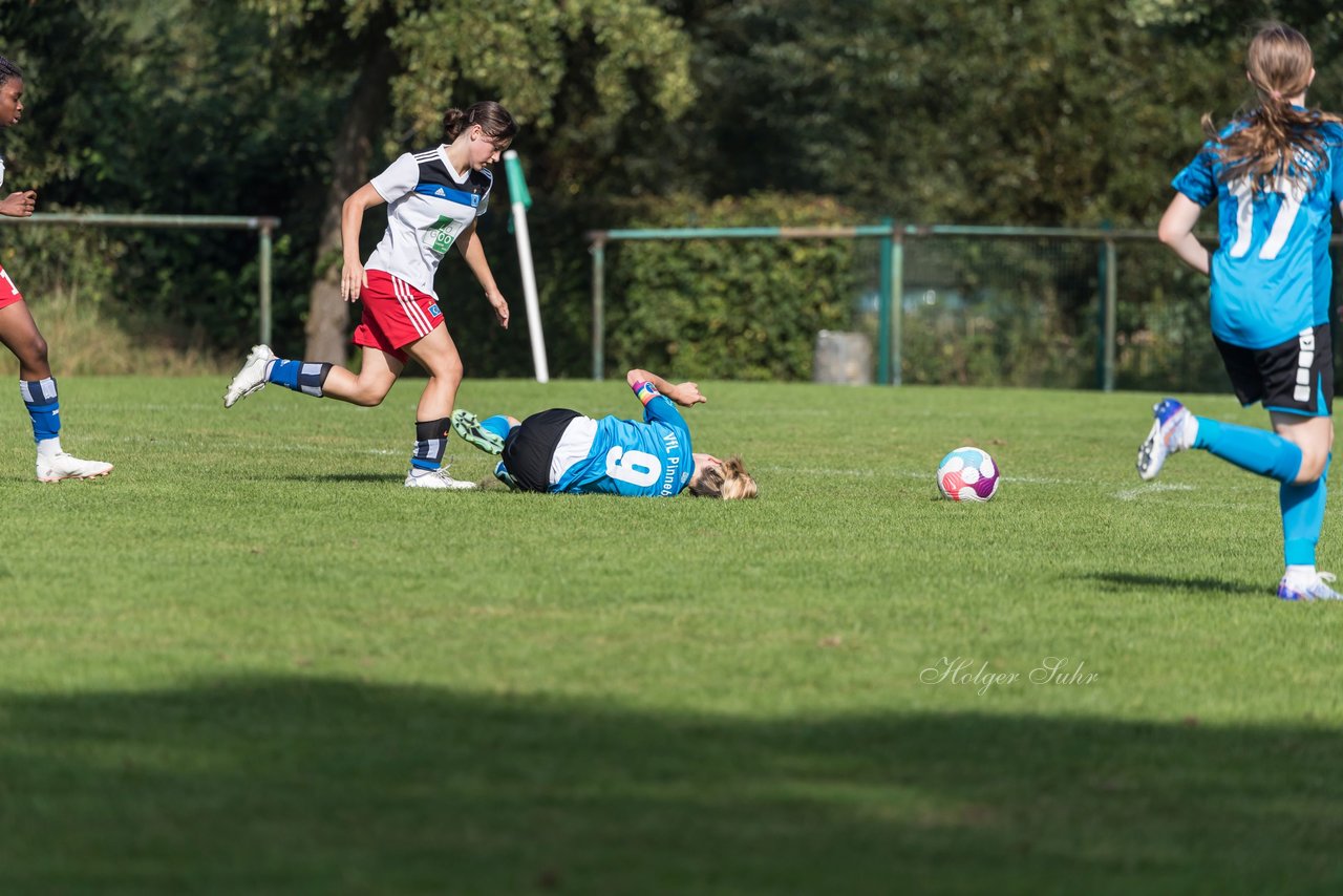 Bild 78 - wBJ VfL Pinneberg - Hamburger SV 2 : Ergebnis: 1:3